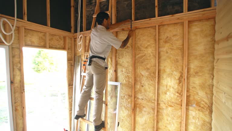 Best Wall Insulation Installation  in Riverdale, GA